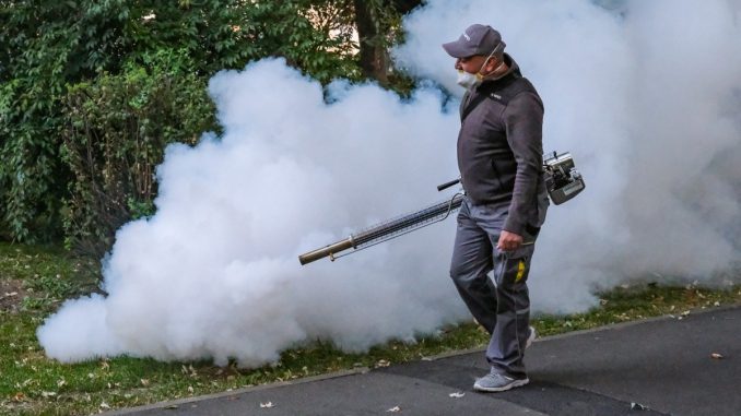 dezinsectie