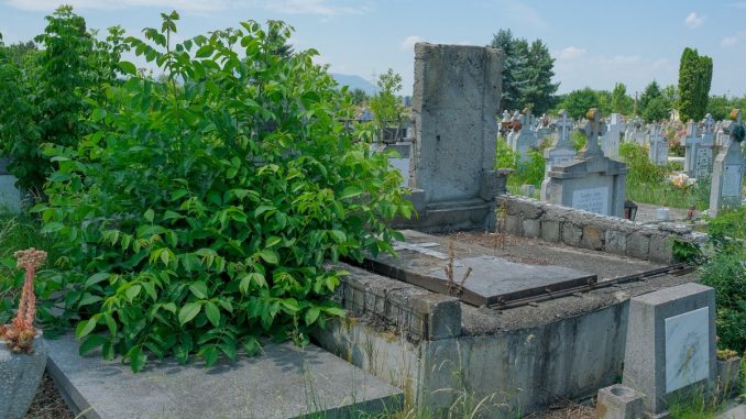 mormant cimitir municipal bv